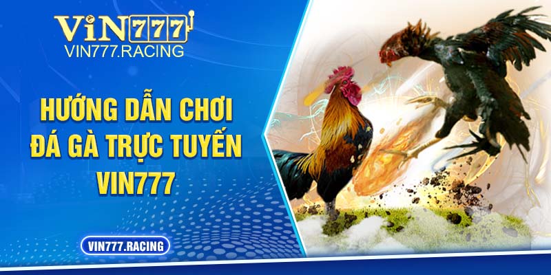 Hướng Dẫn Đá Gà Trực Tuyến